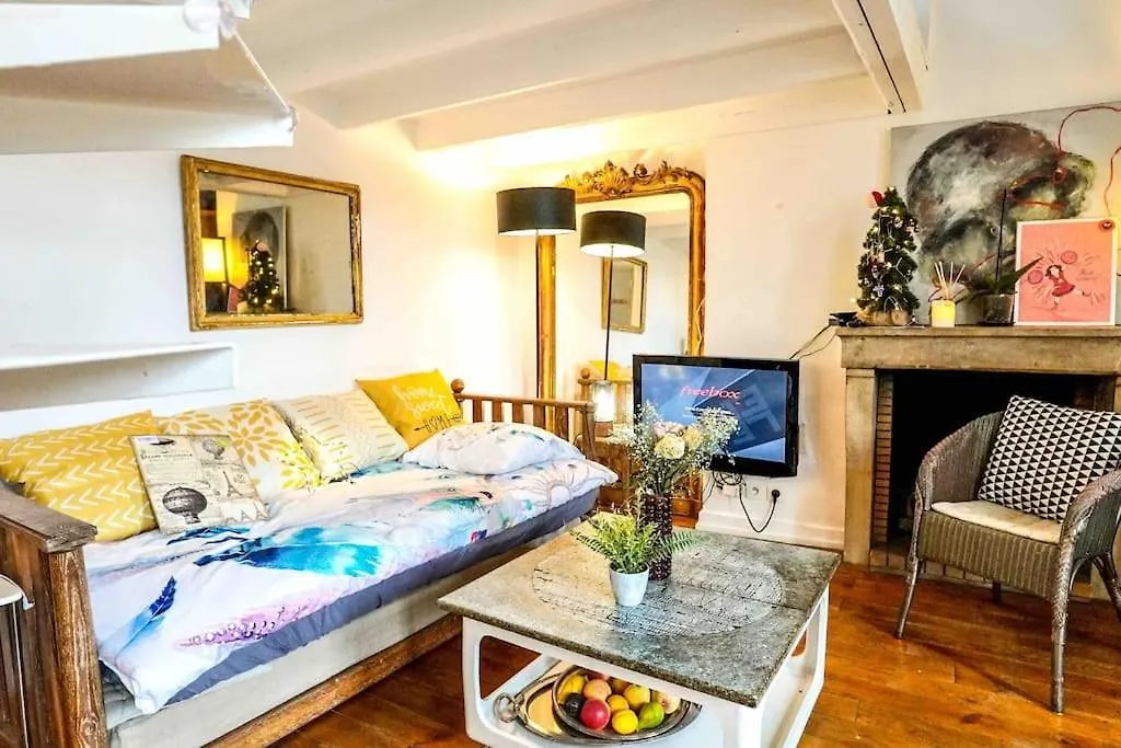Daire Spacious Loft Saint Michel